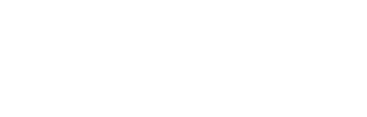 LOGO-KIWI-Header